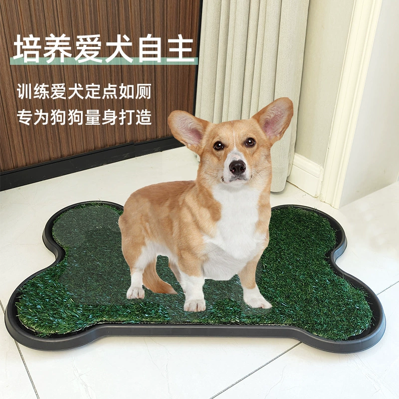 Домашняя собака туалет Поддельная газонная мочеиспускание