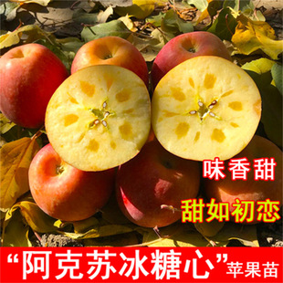 �O�����������Ϸ������Nֲ���Ա������O������簫�����䮔��Y��