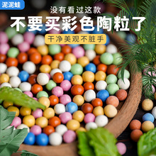 ��ɫ�����������С�����~�׌���ˮ���B�������������N���@ˇ����