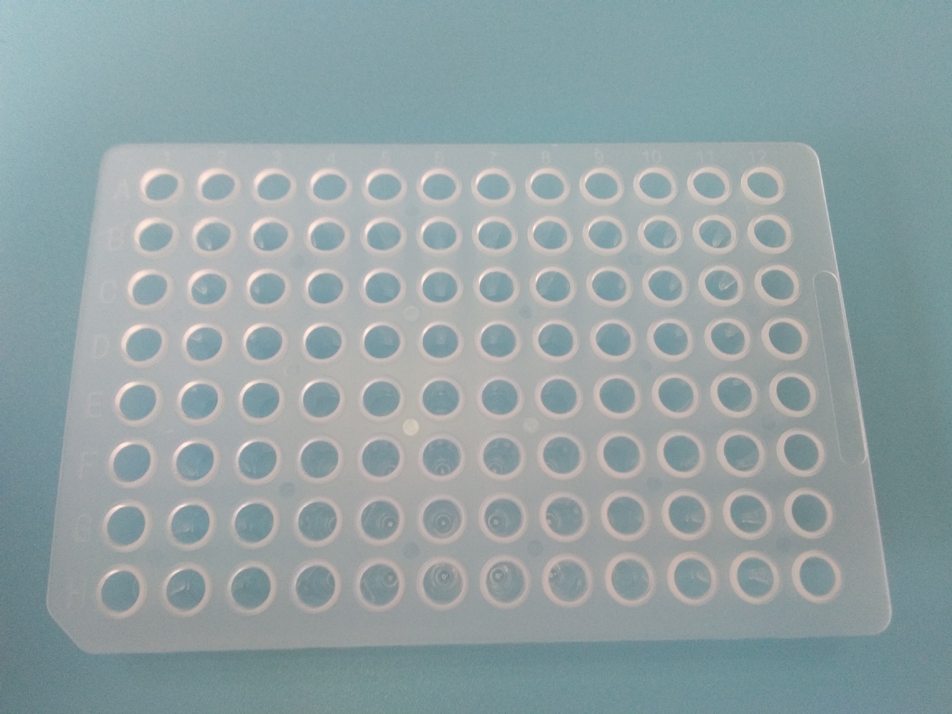 0.2ml96孔板无裙边透明PCR96孔板无酶pcr板实验室耗材