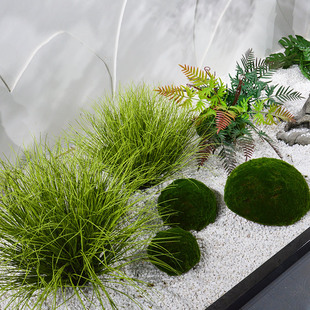 �ѲݼپGֲ������ʽ�쾰�����҃ȸɾ��[��ֲ���ľ��ˇ���b