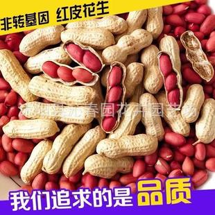 �߮a�tƤ���������N������Ƥ��ԭ�N�����N�Ӄ��|�����t�����N��