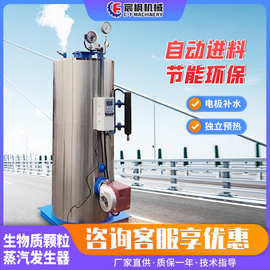 电加热蒸汽发生器生物质天然气节能型锅炉蒸汽机混凝土桥梁养护器