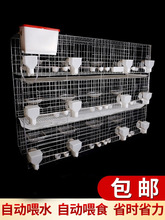 ]ӻ\Ʒ12λBֳ䌦ֳ\Bֳ\\