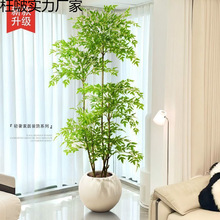 ���������Gֲ�߶��p���҃ȴ���������Կ͏d�b[�������ٻ���