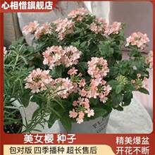 ��Ů�ѷN�Ӯ����·N�������ݱ��N���ļ����NͥԺ�̨�҃����ױ���