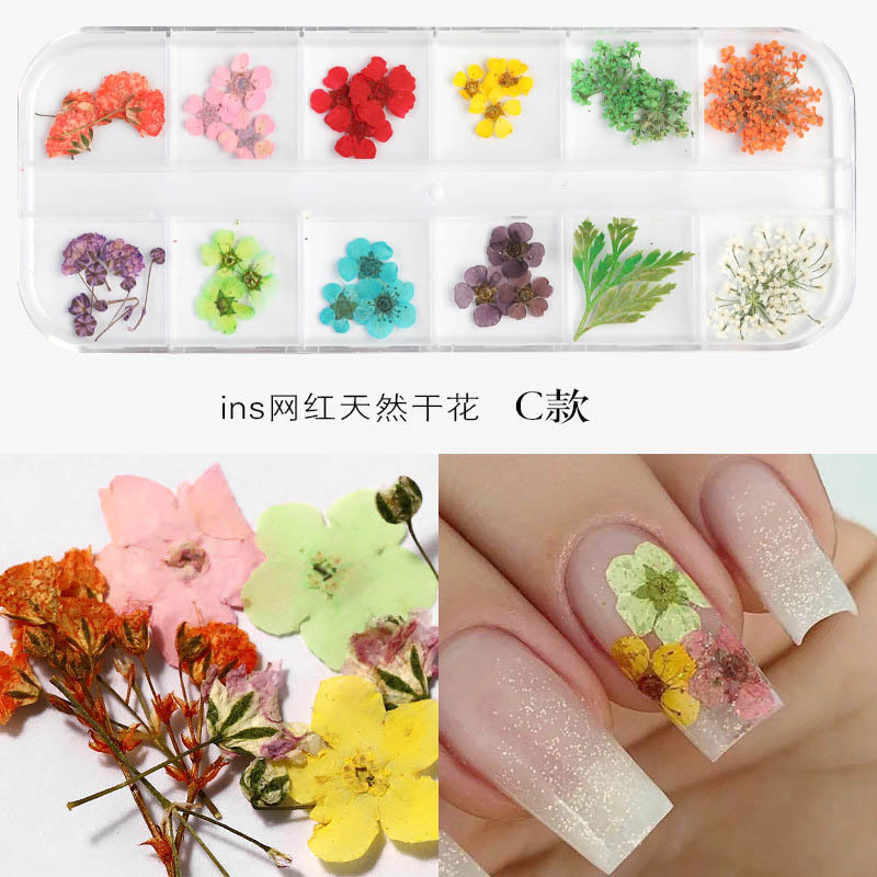 Nuevo clavo japonés flor seca 12 color estrella girasol Margarita 12 color flor seca decoración 24 uñas flores secas