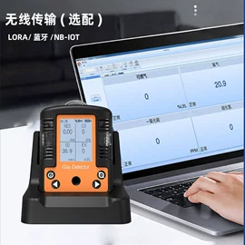 其他气体分析;气体检测仪;氧气检测仪