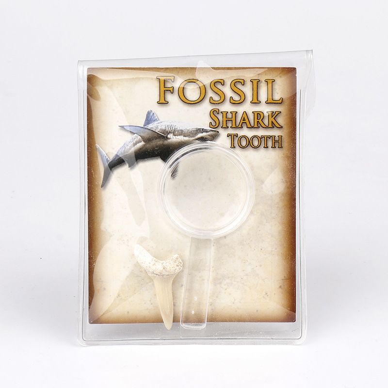 좁은 치아 (가방 크기 9*7cm)