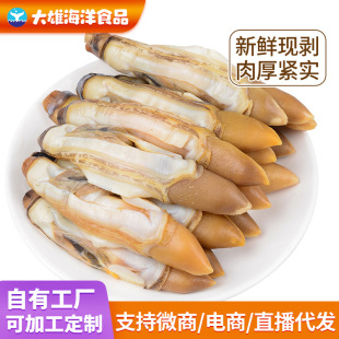 �r����֭�|����һ�����l���|���|���}�ӟoɳ�|�������l���