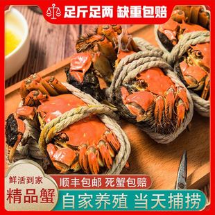 �����ɡ���з��ꖳε۴��lз�r��зȫĸз3.5��10ֻ�Y���b