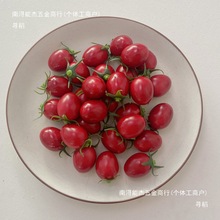 番茄水果假圣女果模型小西红柿橱柜店铺展示拍摄道具其他