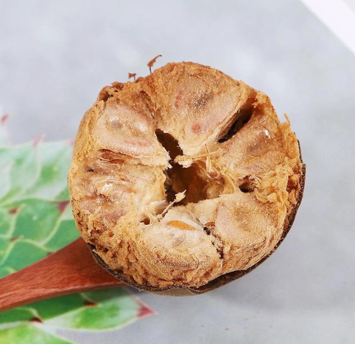 Dried Luo Han Guo Monk Fruit Large Grade Guangxi Guilin Specialty Herbal Tea 30 Pieces 60-63mm in use