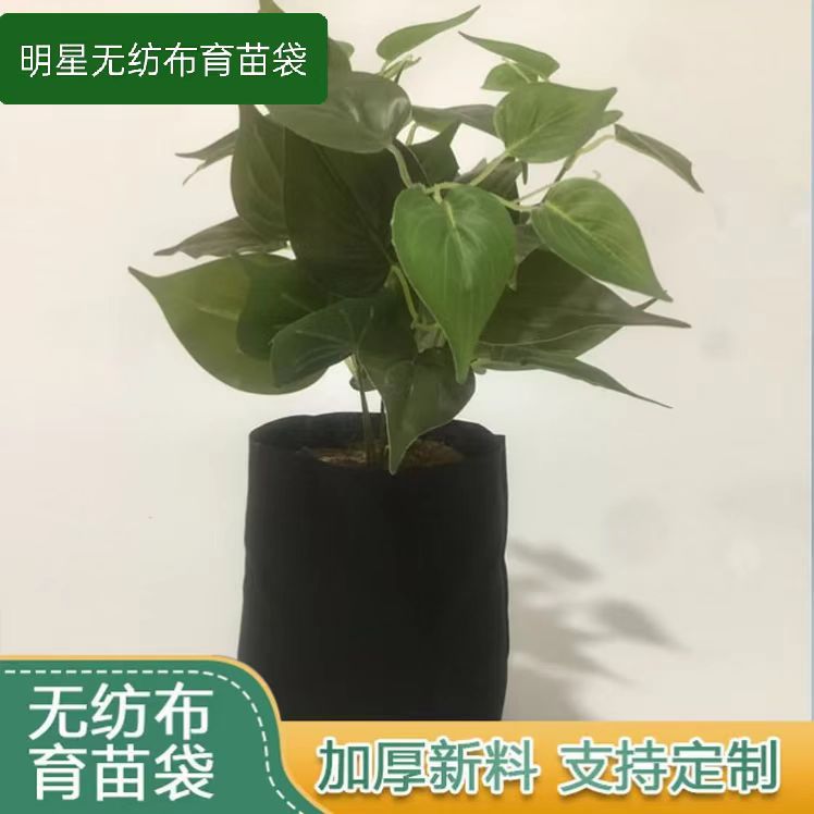 无纺布育苗袋折边型种植袋果苗营养袋移栽苗钵口径可选苗圃可降解