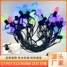 户外灯串C7 C9 灯泡串  露营15米RGBW25草莓灯串 美规庭院灯串