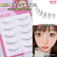 免胶小火苗灵动手绘假睫毛下睫毛一片式自然上镜透明细梗仿真漫画