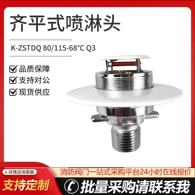 Распылительная головка для бокового распыления 68 градусов с боковым углом распыления Распылительная головка для боковой стенки DN15 Боковое распылительное сопло ZSTBS-15