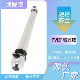 PVDF超滤膜UF2880污水处理柱式膜UF2860超滤膜滤芯中水回用管式
