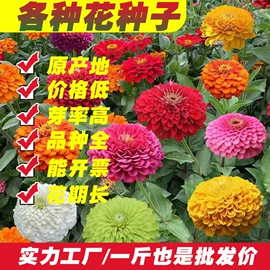 园艺工具;其他园林资材;植保机械