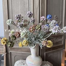 ��Ȼ�L���滨С�L܇���͹�С������ �{�軨 ����b� �Ĕz����