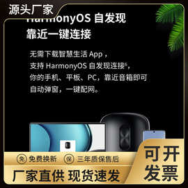 华.为SOUND SE智能蓝牙音箱帝瓦雷低音炮音响电脑家用户外黑色无