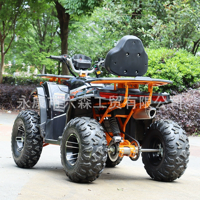 200cc четырехколесный внедорожный квадроцикл, бензиновый вседорожный мотоцикл, снежный картинг UTV Sirius