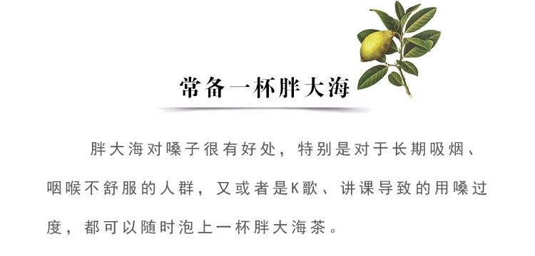 Pang Da Hai (Sterculia lychnophora) — Dried Round Fruit for Throat-Soothing Tea quality and texture