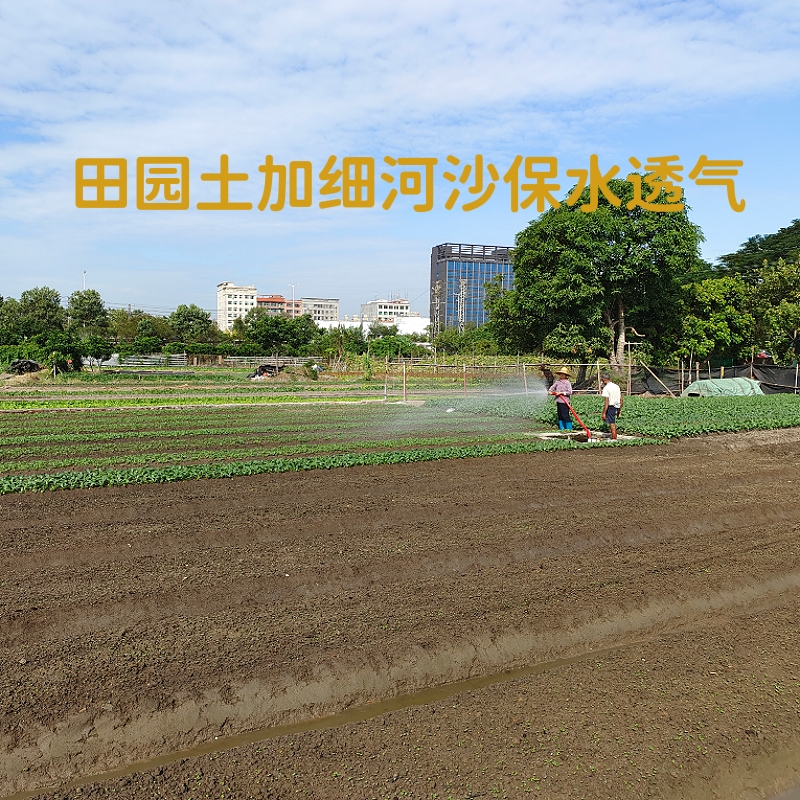 天然沙土沙壤土种菜种花土养花盆栽花卉专用种植土细沙土壤通用土-阿里巴巴