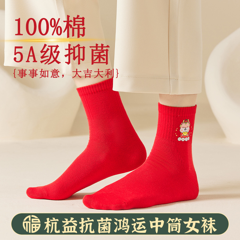 Year of the Horse, Lucky Red Socks, 100% Pure Cotton, Antibacterial and Deodorizing, Cute Cartoon Mid-Calf Socks, New Year Gift Box