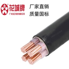 �V���齭��|������ZC-YJV4*25ƽ��������ȼ�~о�����|ZC-VV