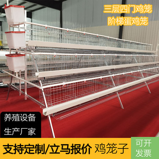 �����A�ݵ��u�\�������T ��\�����A���B�u�O���Bֳ���������u�\