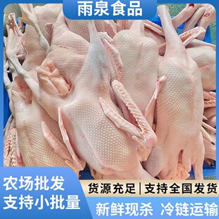 ���r�����Z���Z ���r�F�������Z���D䁾Ƶ깩�� �V�|���Z���Zʳ��