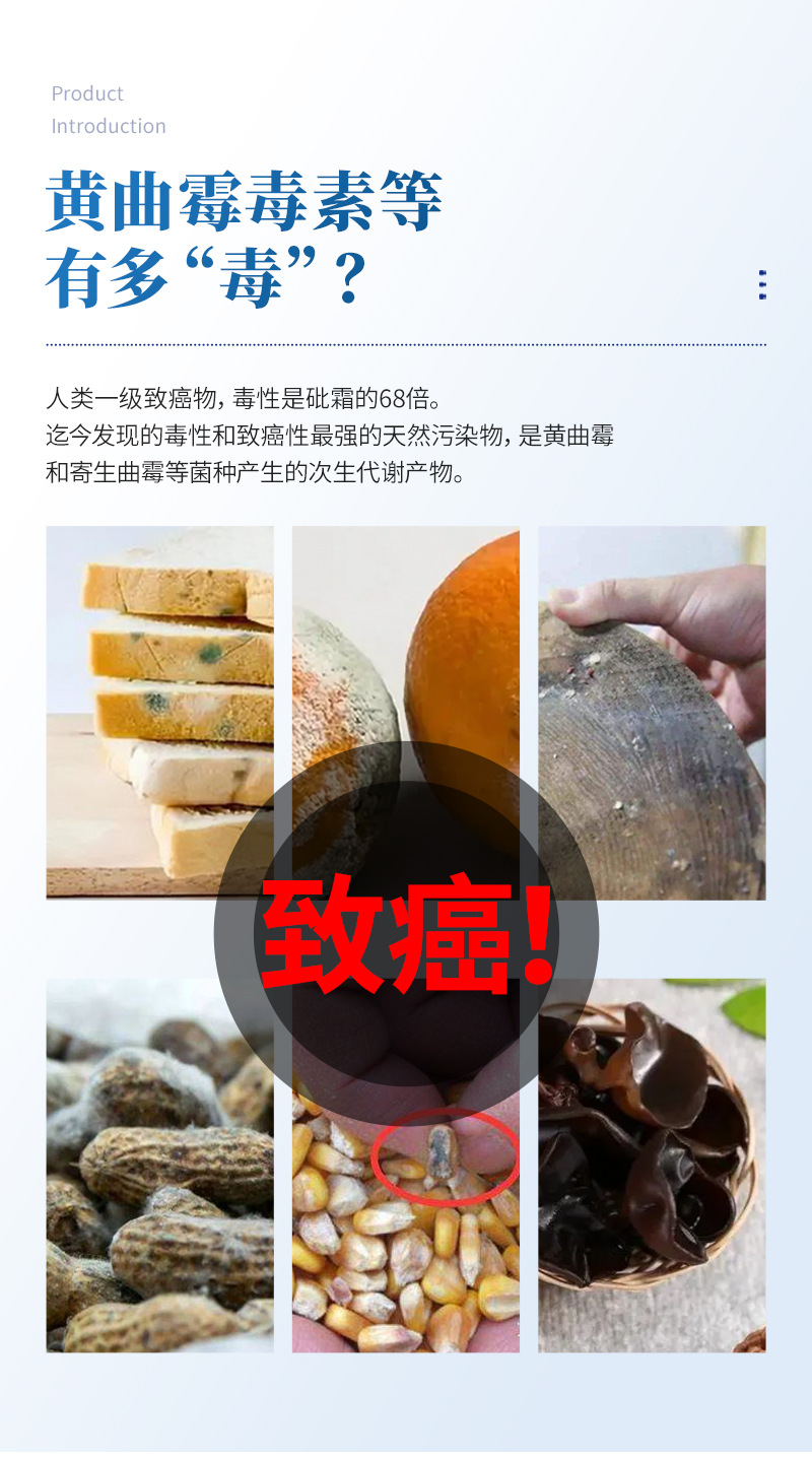 黄曲霉检测卡1_02