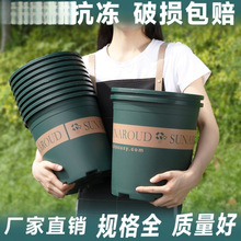 �������ϻ����������̨���ش�żӺ���֬��ֲ�ظ�����