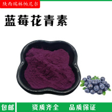 蓝莓提取物花青素25% 蓝莓提取物水溶性蓝莓粉【100g/袋】