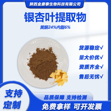 �y���~�Sͪ24%�y�Ӄ�֬6%�y���~��ȡ��Ginkgo Biloba Extract