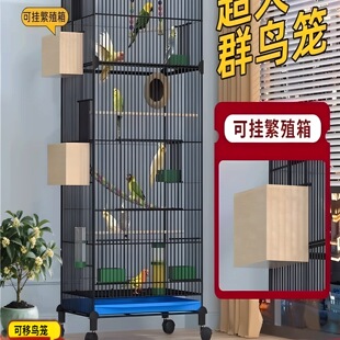 �˸猣�û\�ش�̖�W�^�B�\�Ӽ��ô�̖�p�ӻ�Ƥĵ�����͸C���A�e��