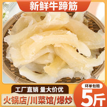 牛蹄筋新鲜主筋水发半熟火锅食材生鲜烧烤牛腿筋牛杂5斤装商用