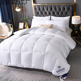 Down Quilt Thickened for Warmth, Winter Quilt, Spring and Autumn Quilt Core, Group Purchase Gifts, Wholesale, Conference Sales, Goose Down, Popular Group Purchase Item