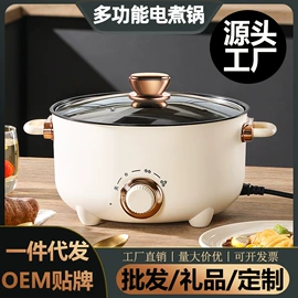 电火锅;电煮锅;养生壶