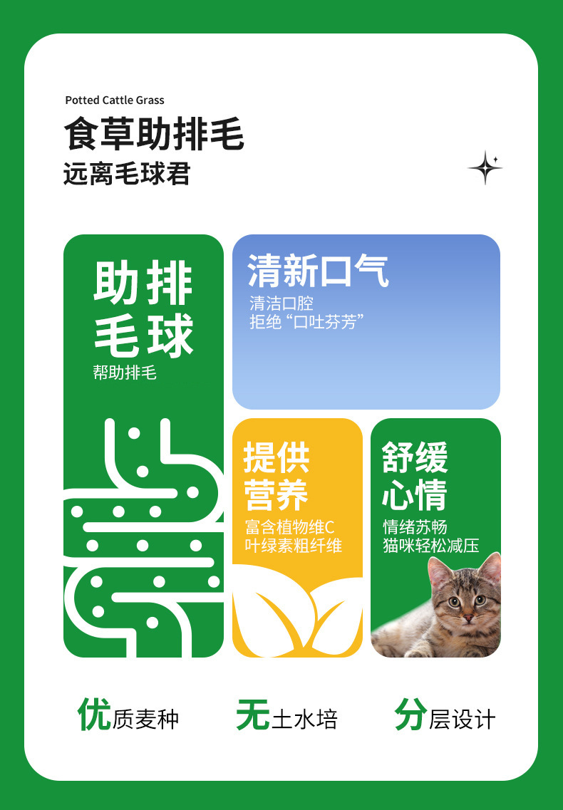 详情-03.jpg