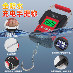 Weiheng威衡WH-A28防水電子秤50キロfisherman釣り秤ブランドの手提げ秤工場