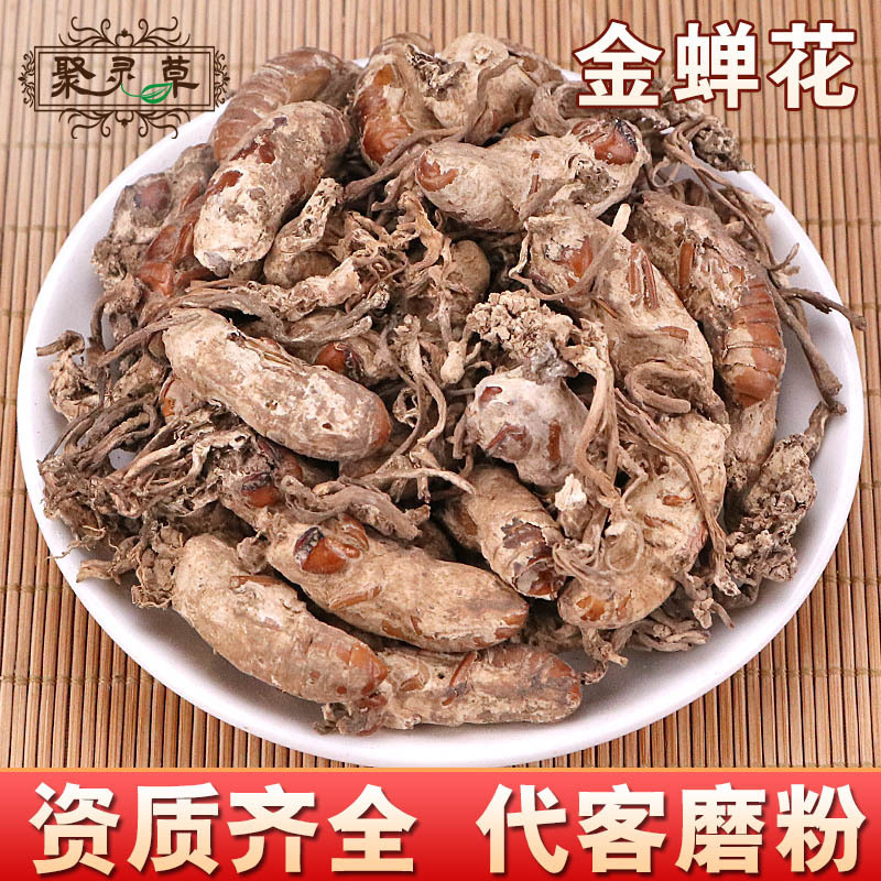 中药材批发金蝉花 蝉花干新货无硫金蝉花 蝉蛹草 大虫草 产地直发