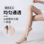 夏季一线高透隐形黑丝