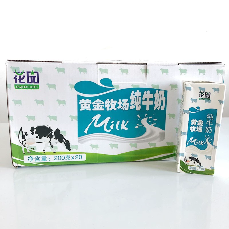Pure milk сырое молоко золотой ранч 200мл*20 коробка для студентов и пожилых завтрак питательное молоко