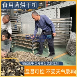 箱式干燥设备;带式干燥设备;筛选设备