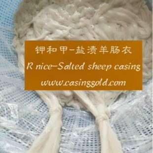 ⛺ͼ� �}�n���c�� ���ɫ 3��14��90�� 5��10��90�� �ڏ�����