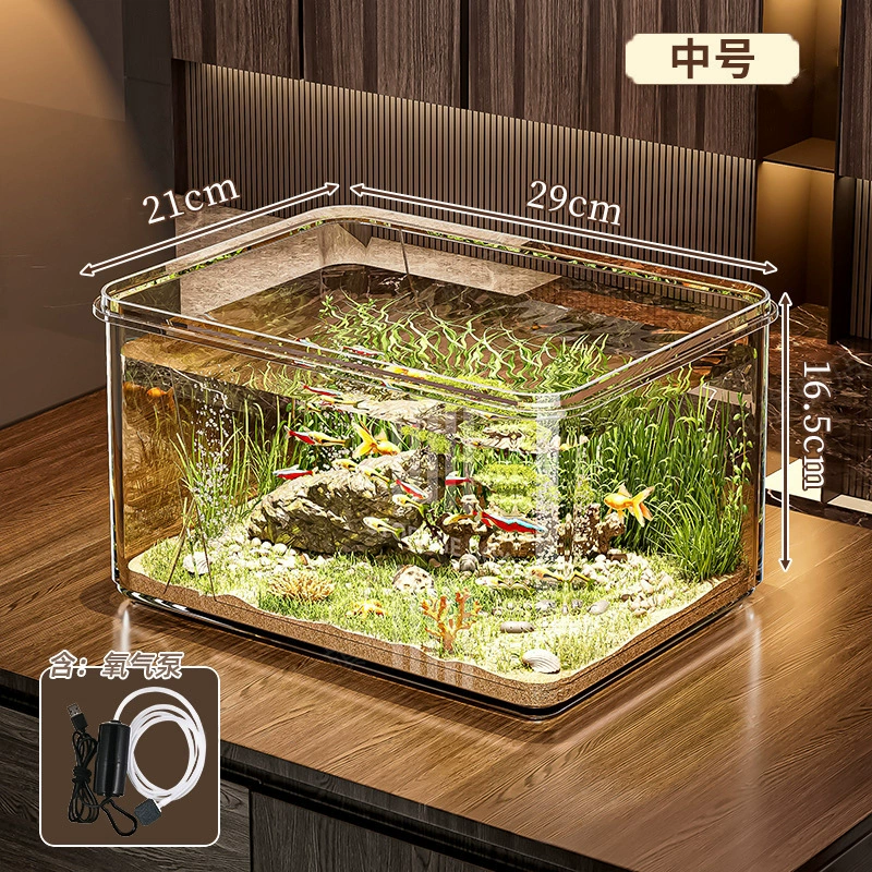Transparent small square acrylic aquarium for office