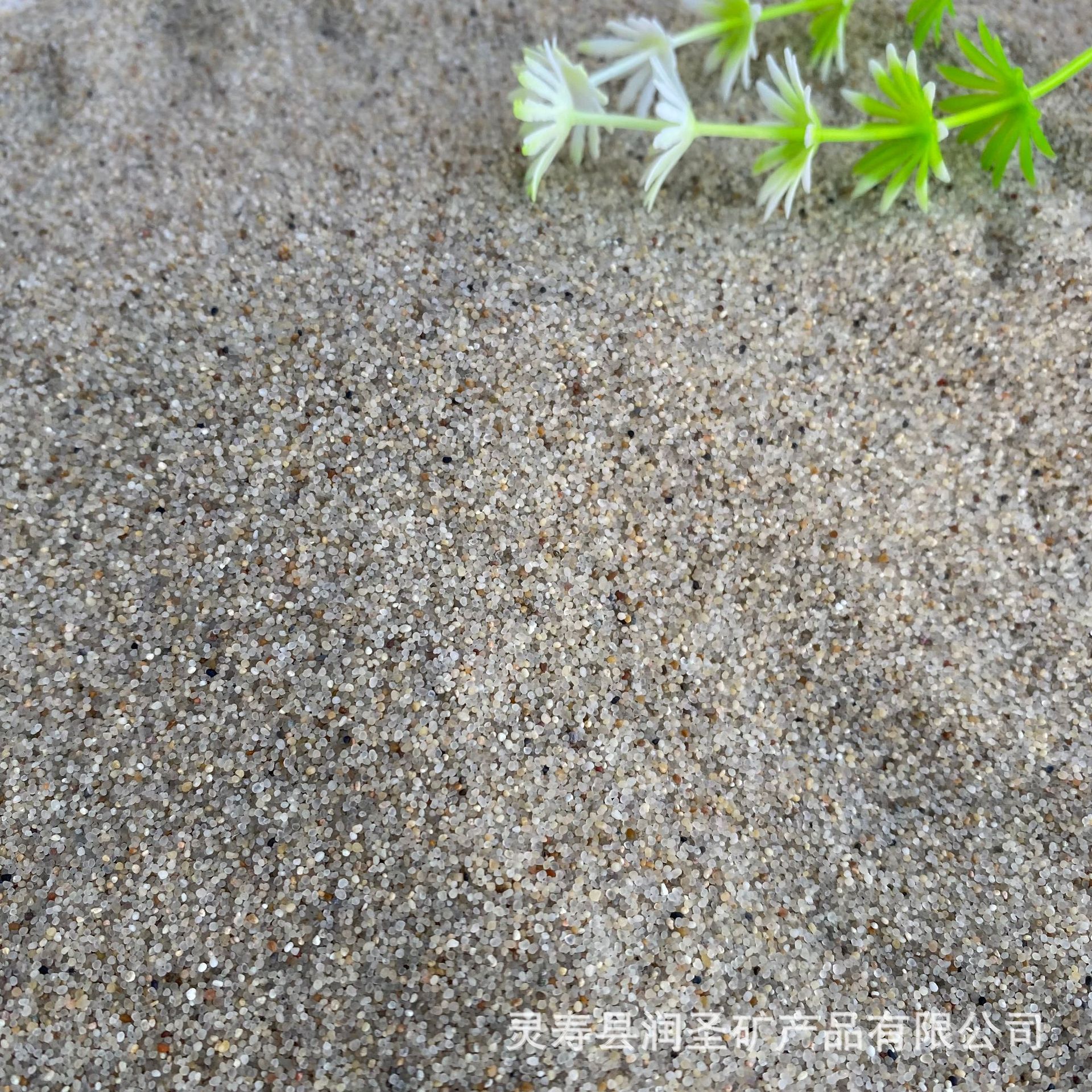 批发儿童乐园玩具沙 天然海砂盘细沙子 造景白沙沙灸专用决明子沙