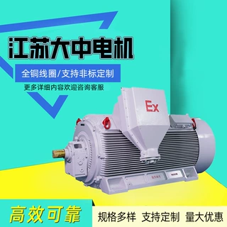江苏大中电机Y2W系列高压电动机三相异步110kw132kw厂家直供